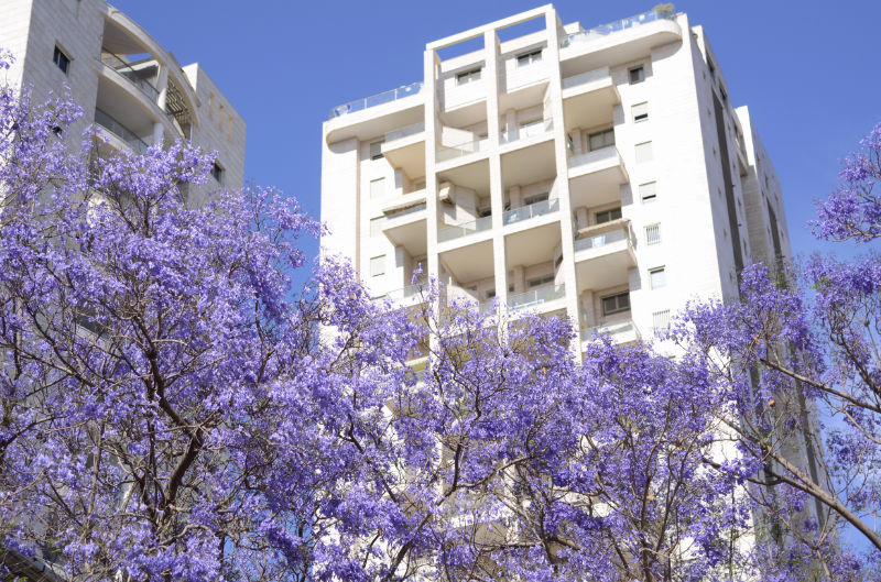 apartment-with-flowers