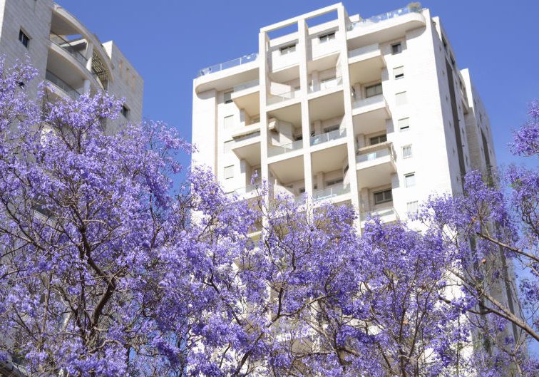 apartment-with-flowers